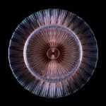 Wholesale Glass Charger Plate PZ-052